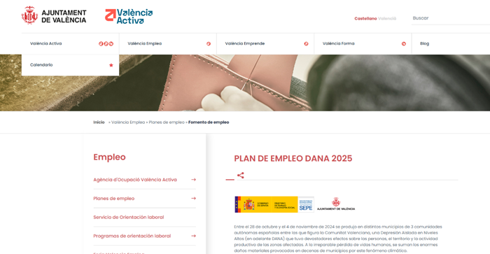 PLAN DE EMPLEO DANA 2025